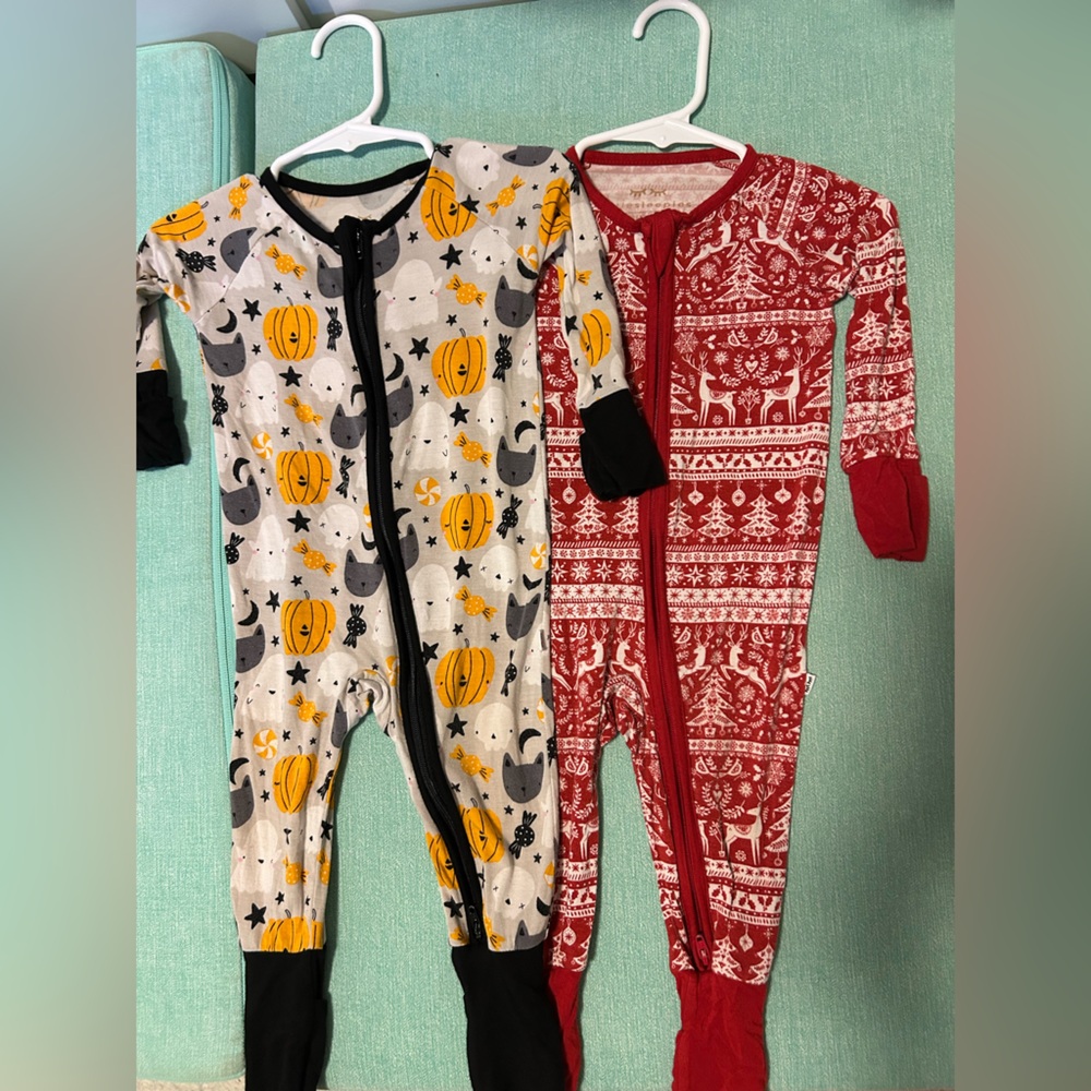 Halloween and Christmas zippies